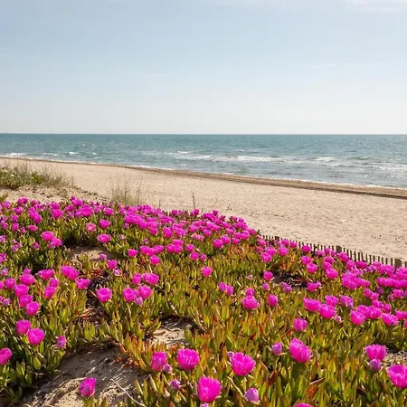 Appartement Village Naturiste R4n - Le Xillion Port Nature