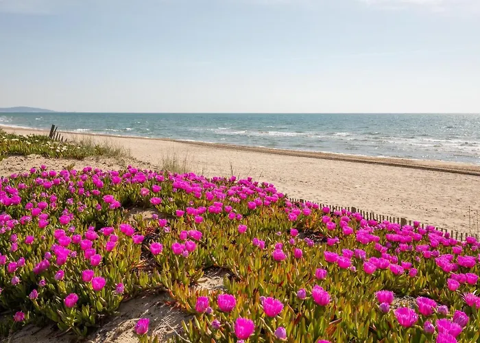 Apartman Xillion Studio Design - Port Nature 2 - Parking - Clim - Village Naturiste